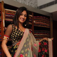 Haripriya launches Sanskriti Festive Designer collection Sarees - Pictures | Picture 104048